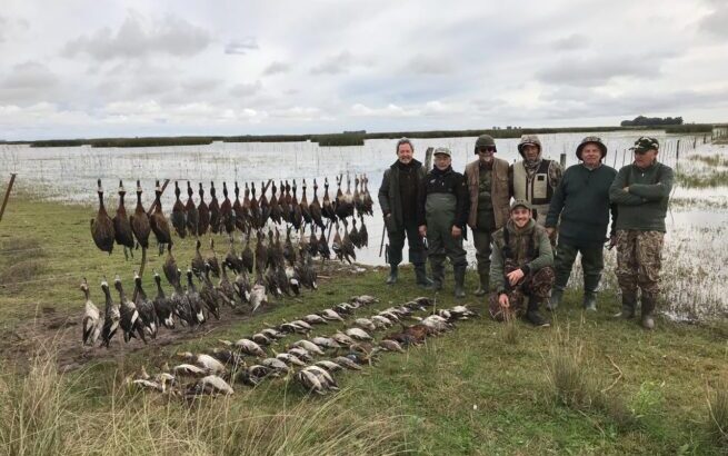 C50E9066-69A6-421E-A7EC-552D2B644683