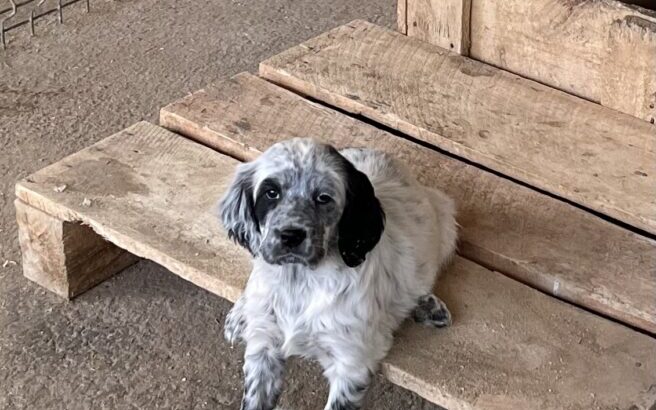 5D893D9F-26AD-4E2C-8868-EFABF19E09A0