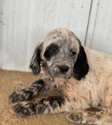 5D9501C0-6BEF-4711-9AF9-CE6F9B9BC424