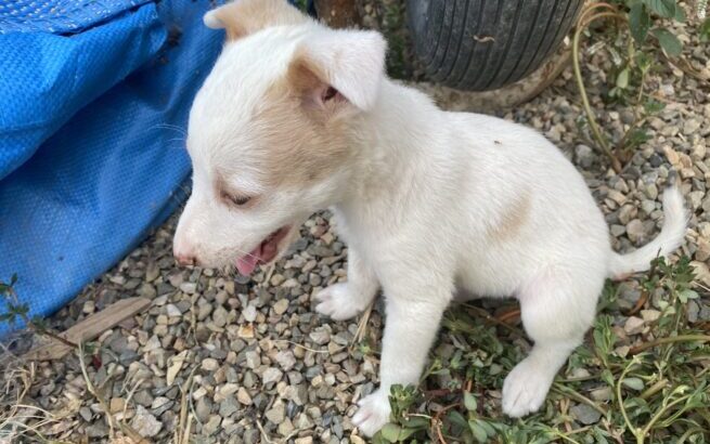 8A81A77C-02E6-4505-B0B9-10363E217B2C