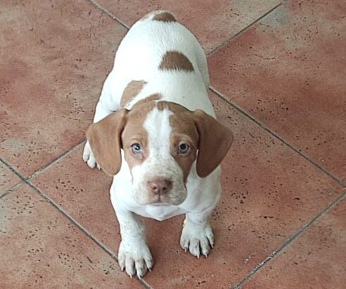 c10f08da-ac0e-4dee-8800-82277dc136a7